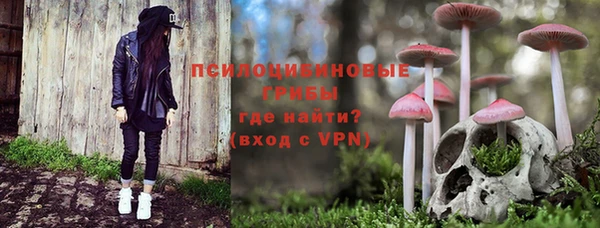 дурь Аркадак