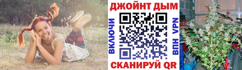 МАРИХУАНА гибрид  Сенгилей 